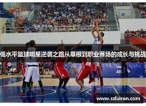 低水平篮球明星逆袭之路从草根到职业赛场的成长与挑战